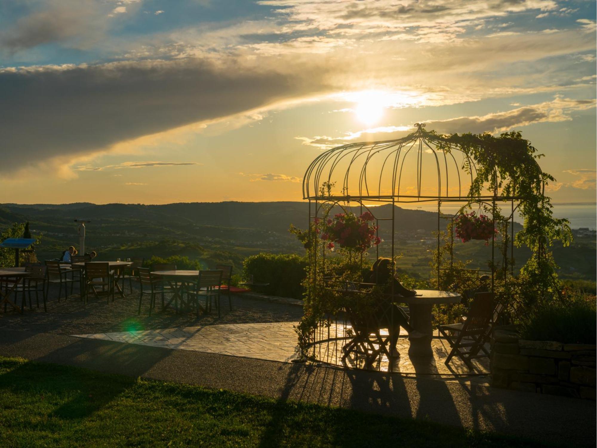Wine Paradise - Glamping Resort Marezige Exterior photo